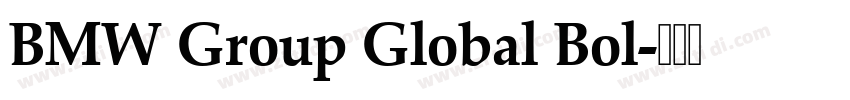 BMW Group Global Bol字体转换 BMW Group Global Bol字体转换